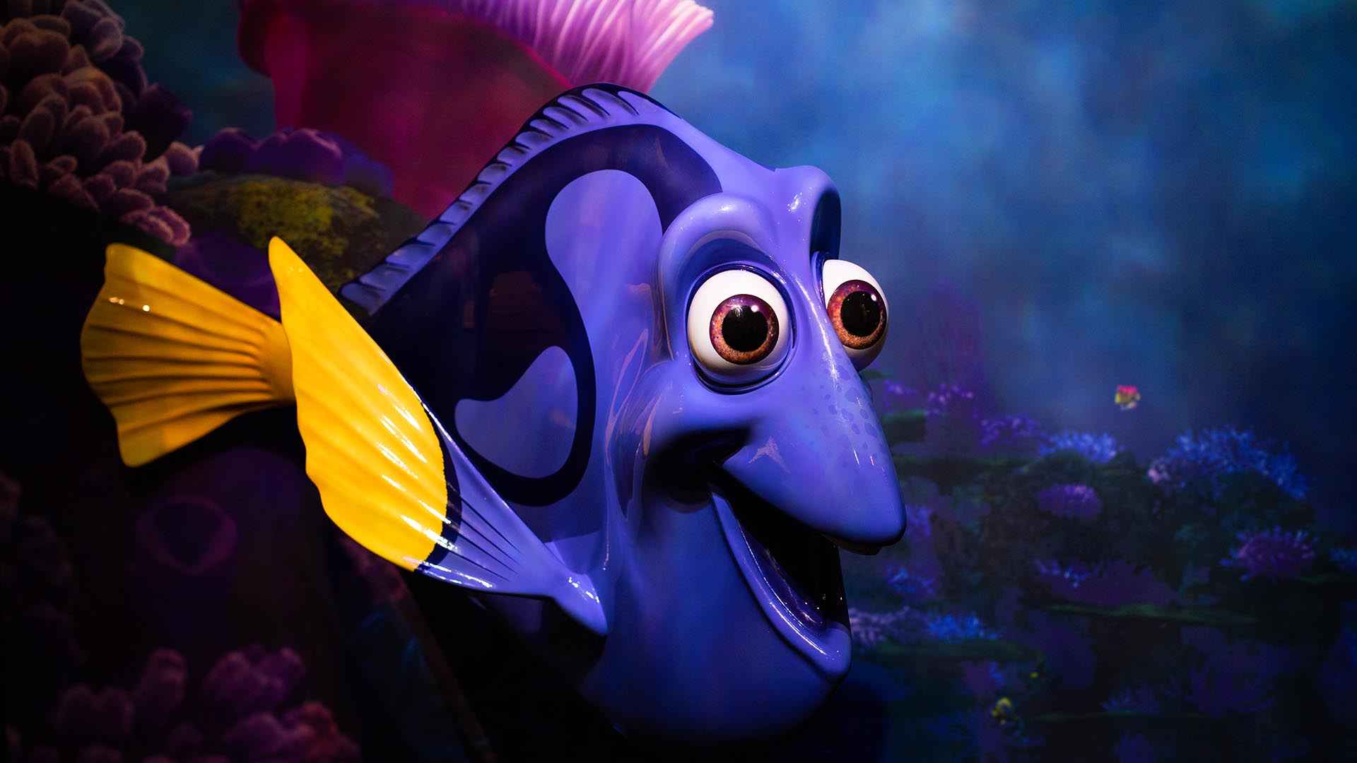 Fish - Animation