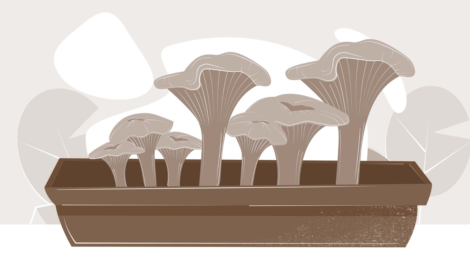 Mushroom growing - 2D Animation