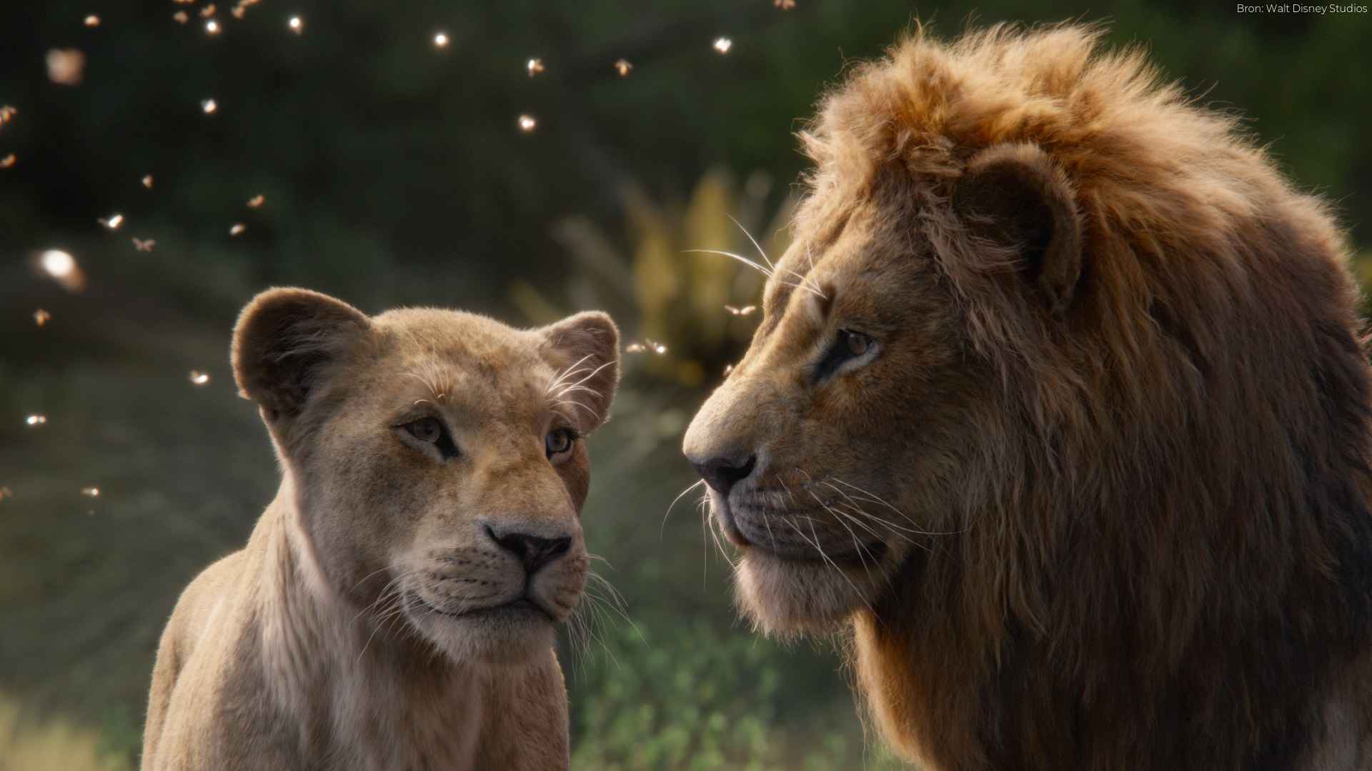 Characters of the cartoon "Lion King"