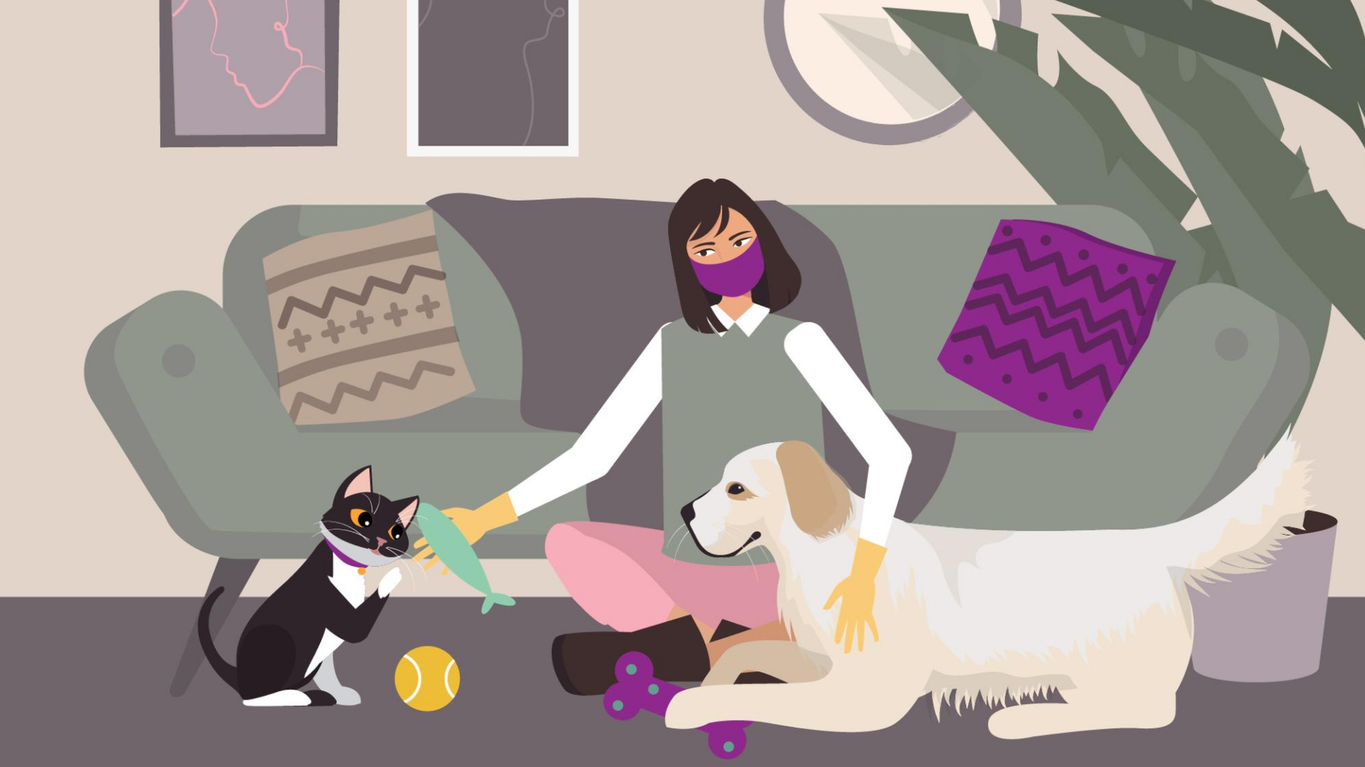 Advertising Animated Video "Take care of your pet remotely"