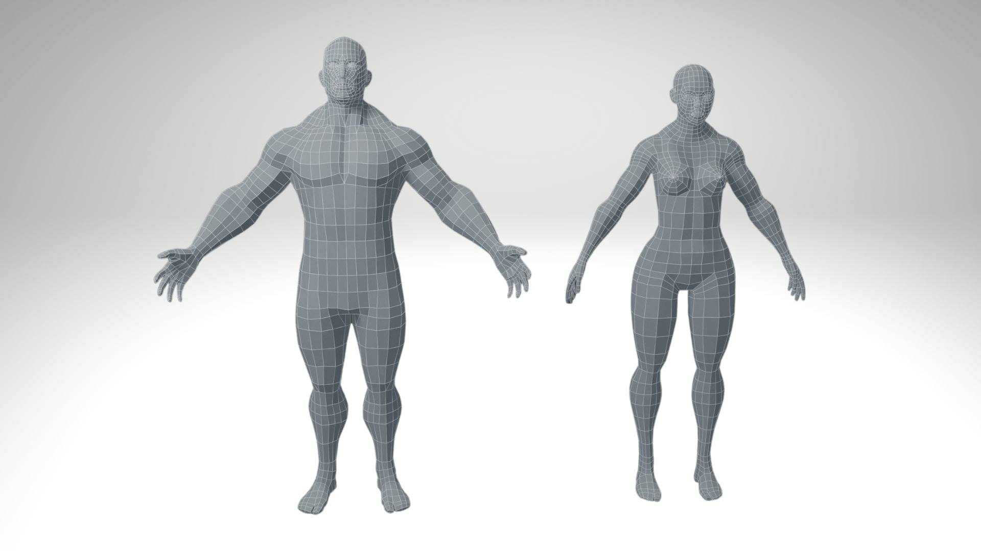 Creation of an Animated 3D human model