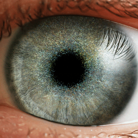 Gif image of the eye