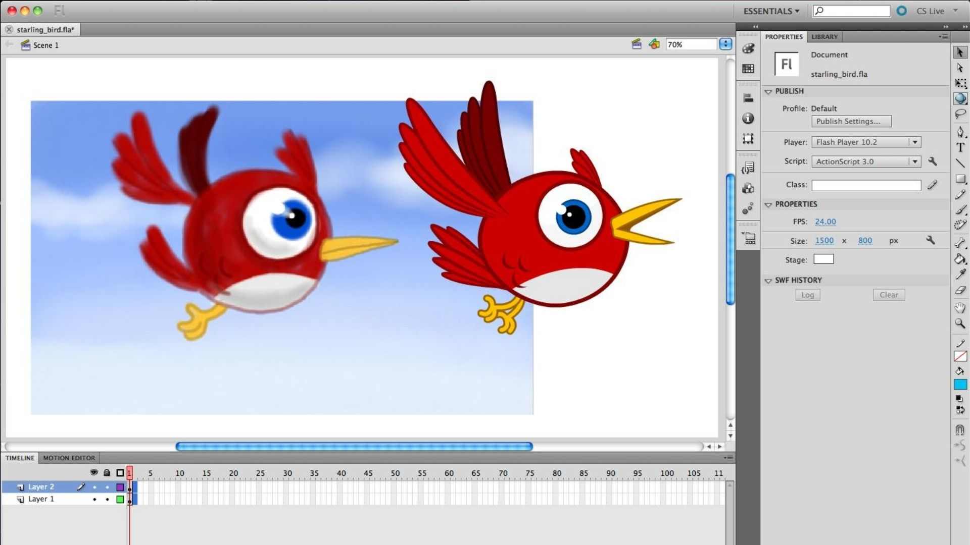 Flash animation | Darvideo dictionary