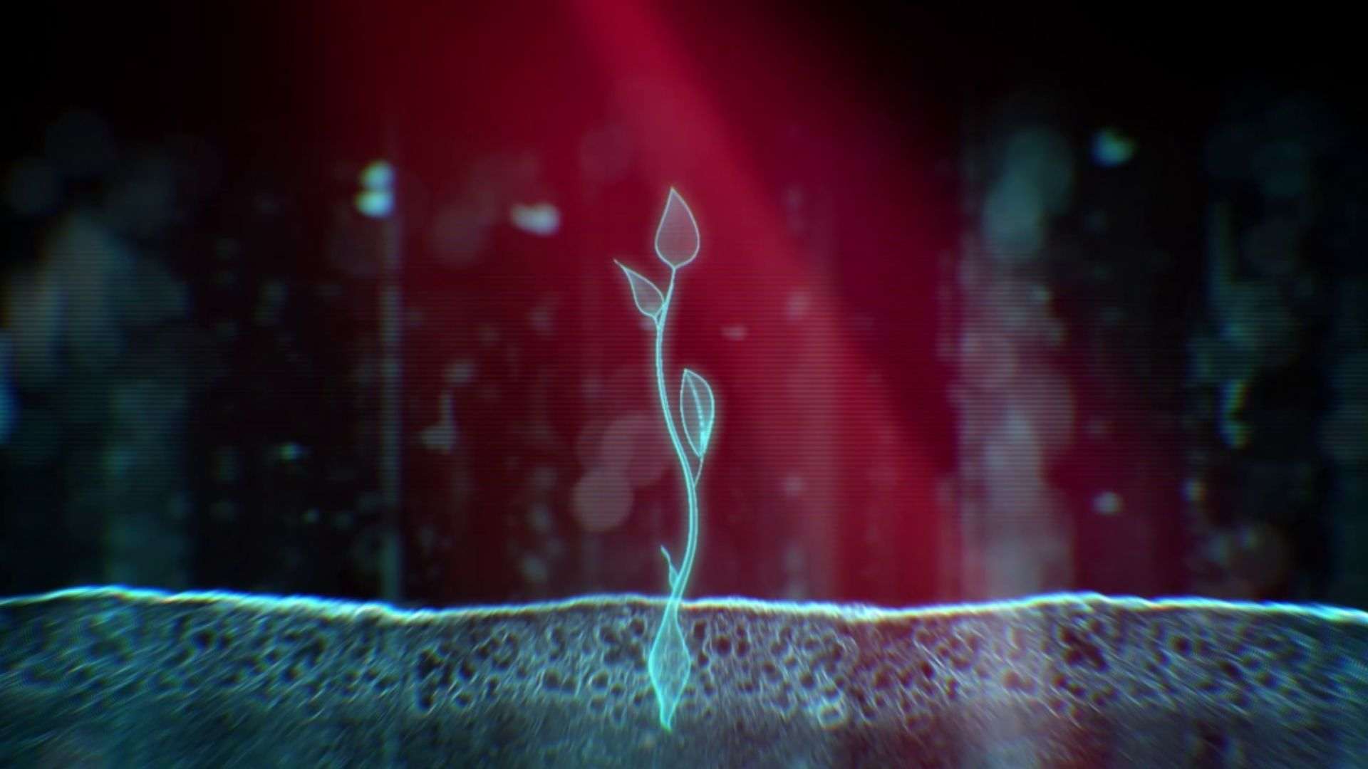Sprout | Animation