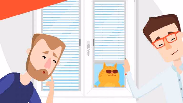 Choice of blinds in 2d animated video