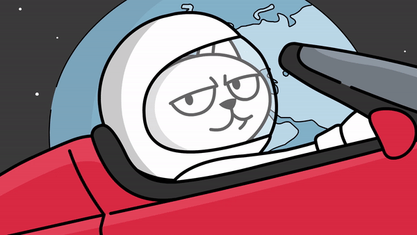 Space cat in a helmet driving with Earth in the background